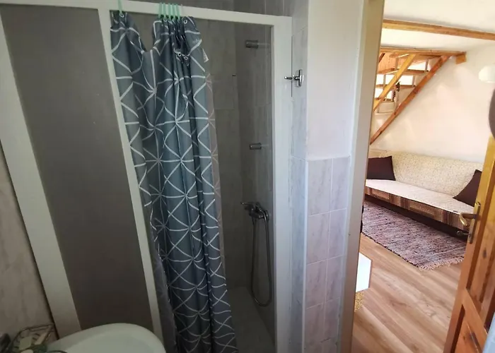 Horská chata Javorina *